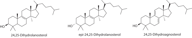 Figure 2