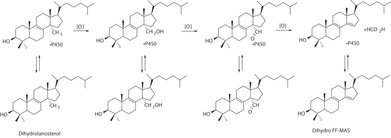 Figure 1