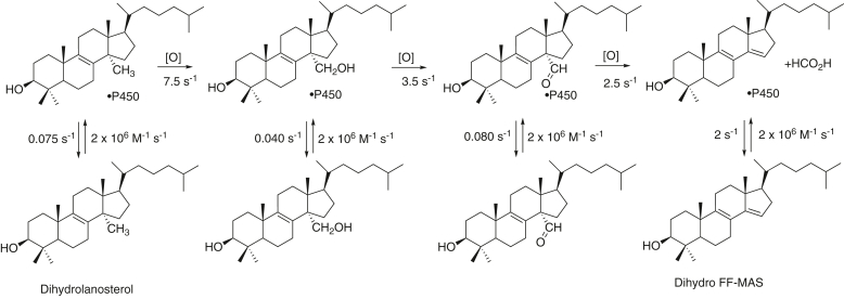 Figure 11