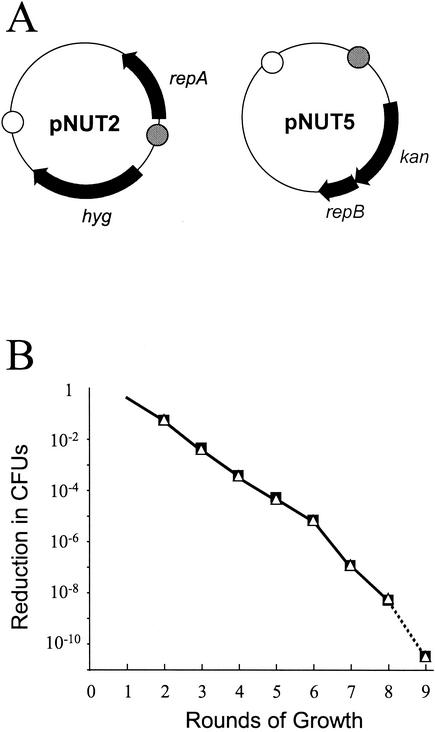 FIG. 2.