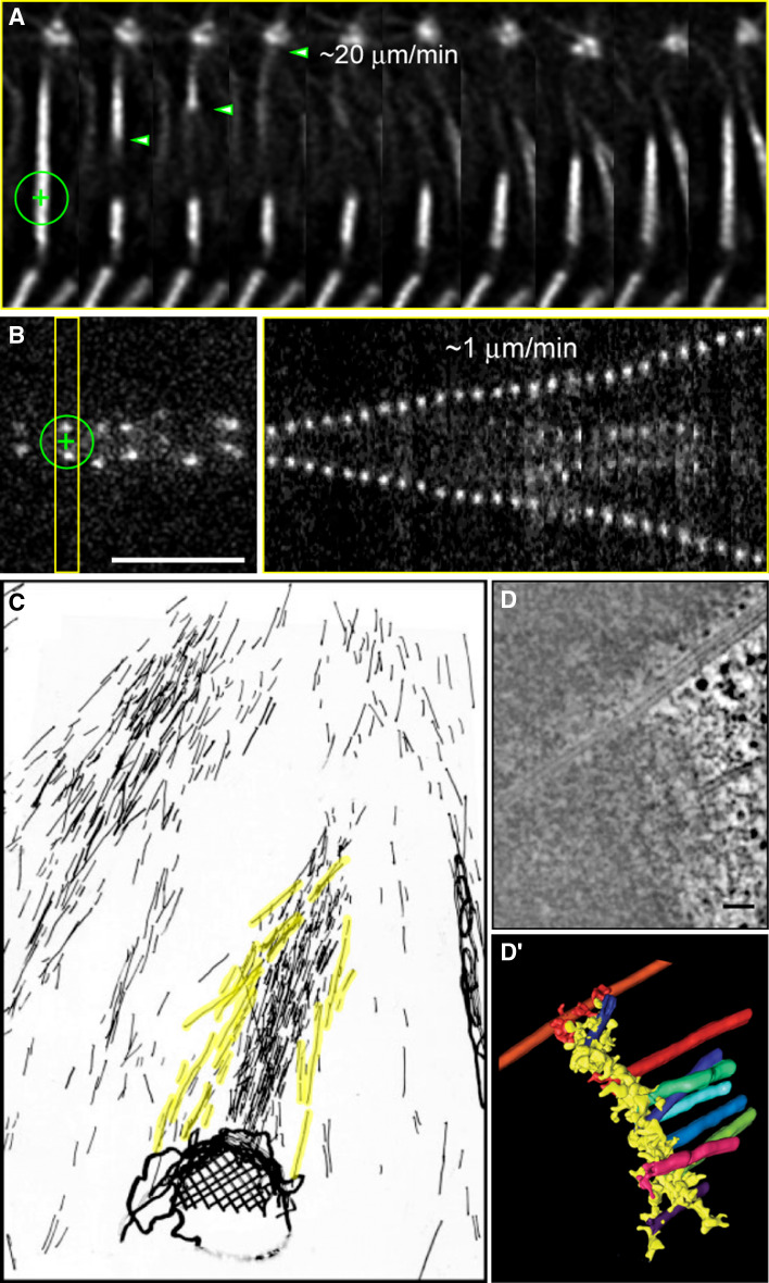 Fig. 4