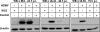 FIG. 6.