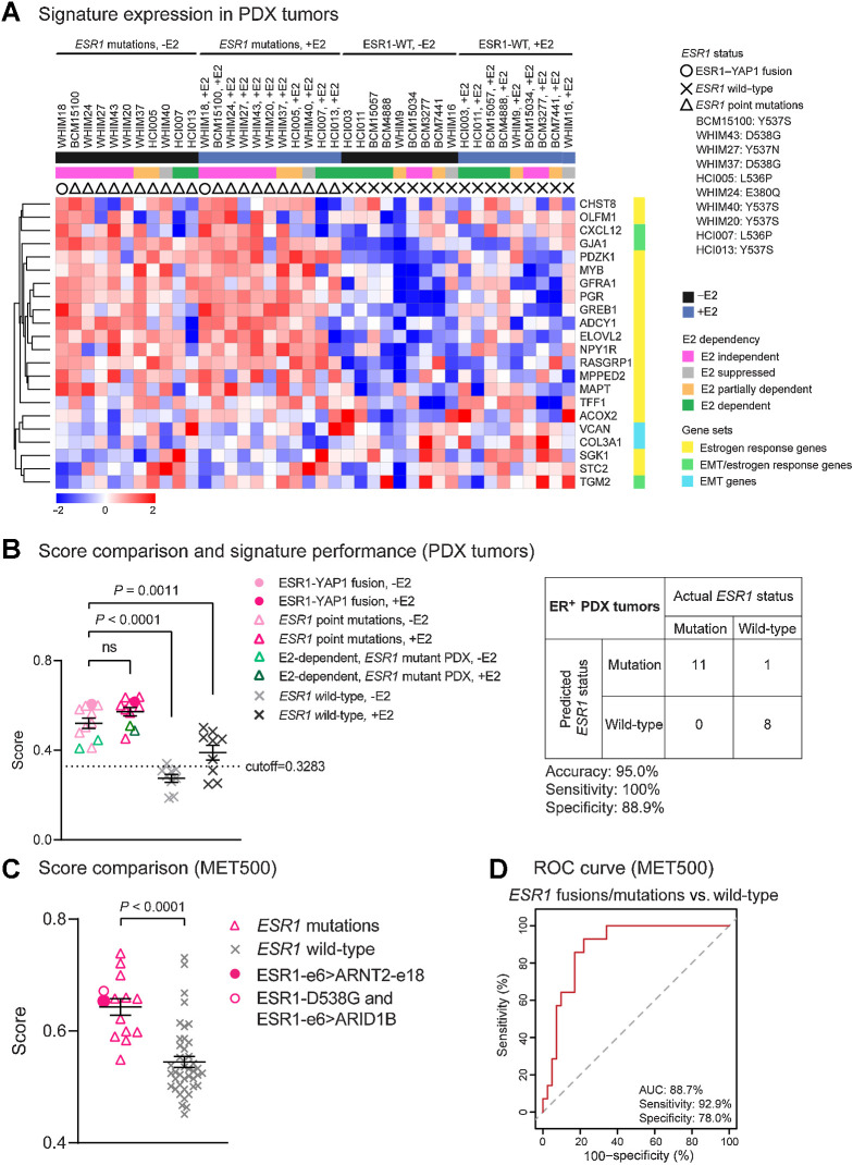 Figure 7. The MOTERA signature predicts activity of ESR1 fusions/point mutations in ER+ PDX tumors and in MBC patients. A, Heatmap showing the expression of the 24-gene signature in 20 ER+ PDX tumors. Scale bar indicates row Z scores. CALCR and KRT13 in the signature were missing in the PDX RNA-seq data, so they were not included in the heatmap. B, Left, scatter plot showing mean signature scores of ESR1 mutations (including the ESR1–YAP1 fusion and LBD point mutations) and ESR1-WT expressing tumors. One-way ANOVA with Dunnett multiple comparisons test was used to calculate statistical significance. Right, confusion matrix to measure the performance of the signature to predict the presence of ESR1 mutations. Accuracy is the proportion of correctly predicted events in all cases. Sensitivity is the ability of the signature to predict an ESR1 mutation to be a mutant. Specificity is the ability of the signature to predict an ESR1-WT to be wild-type. C, Scatter plot showing mean signature scores of MBC patient tumors expressing ESR1 mutations versus ESR1-WT in the MET500 cohort (9). Two-tailed t test was used to compare scores. D, ROC curve for the 24-gene signature performance to differentiate ESR1 mutations from ESR1-WT in the MET500 cohort. The AUC is the probability that the signature ranks a randomly chosen ESR1 mutation higher than a randomly chosen WT ESR1 (100% is the best test, and the dashed diagonal line illustrates the performance of a random signature).