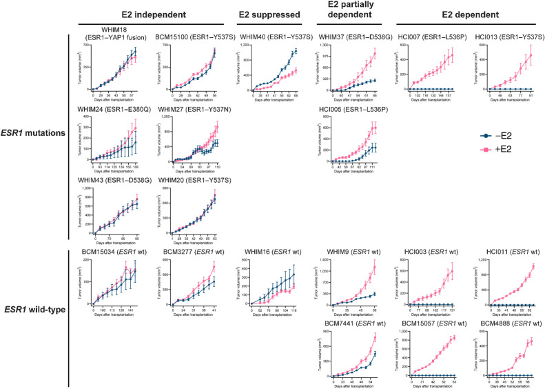 Figure 6. The growth of 20 ER+ PDX tumors in xenografted mice in the absence and presence of E2. Volumes of 20 ER+ PDX tumors were measured in ovariectomized SCID/beige mice supplemented with or without 8 μg/mL E2 in the drinking water (mean ± SEM; n = 7–16 per PDX line per arm). PDX tumors were categorized based on ESR1 status (mutations listed or wild-type, wt) and E2 dependency for growth (E2 independent, E2 suppressed, E2 partially dependent, and E2 dependent).