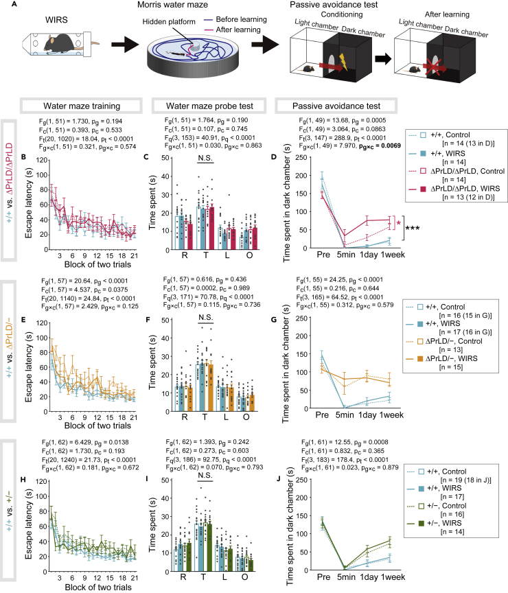 Figure 6