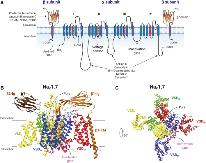 FIGURE 2