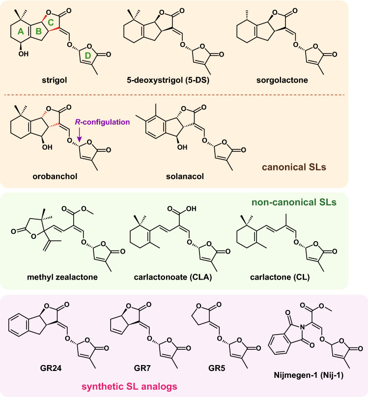 Fig. 1