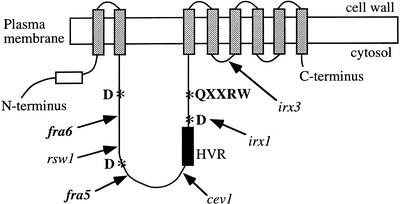 Figure 3.