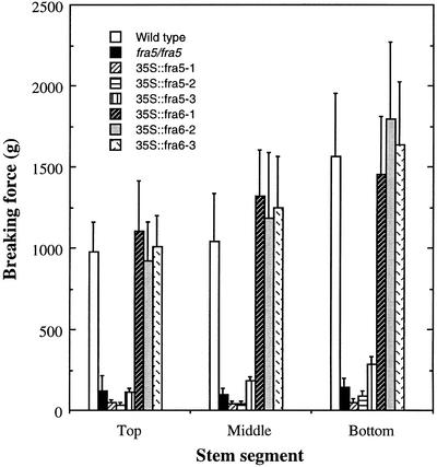 Figure 5.