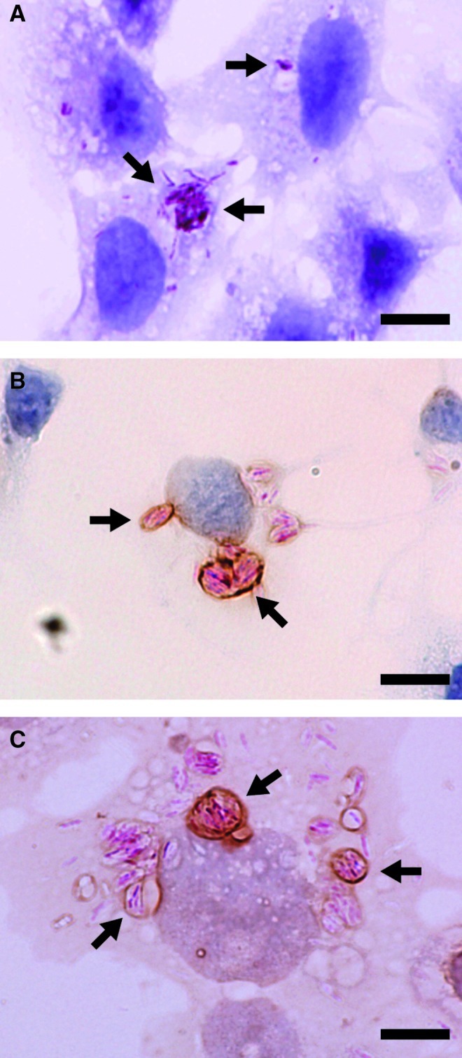 FIG. 3.