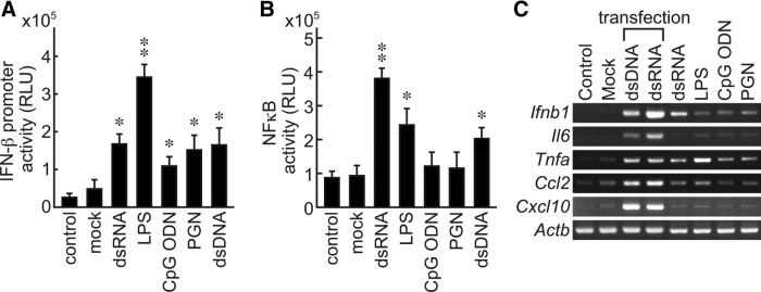 FIG. 2.