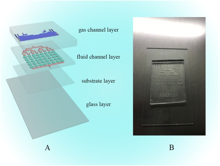 Figure 10