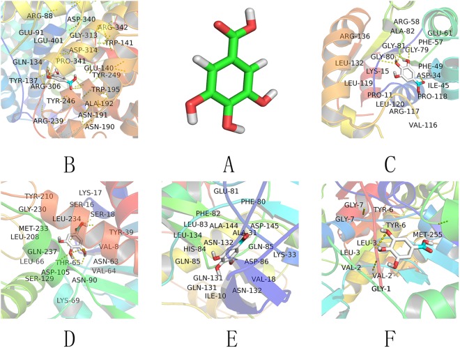 Figure 9