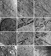Fig.4