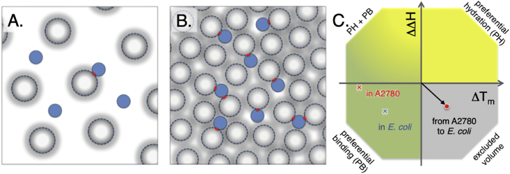 Fig. 7