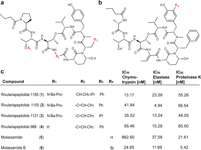 Fig. 4