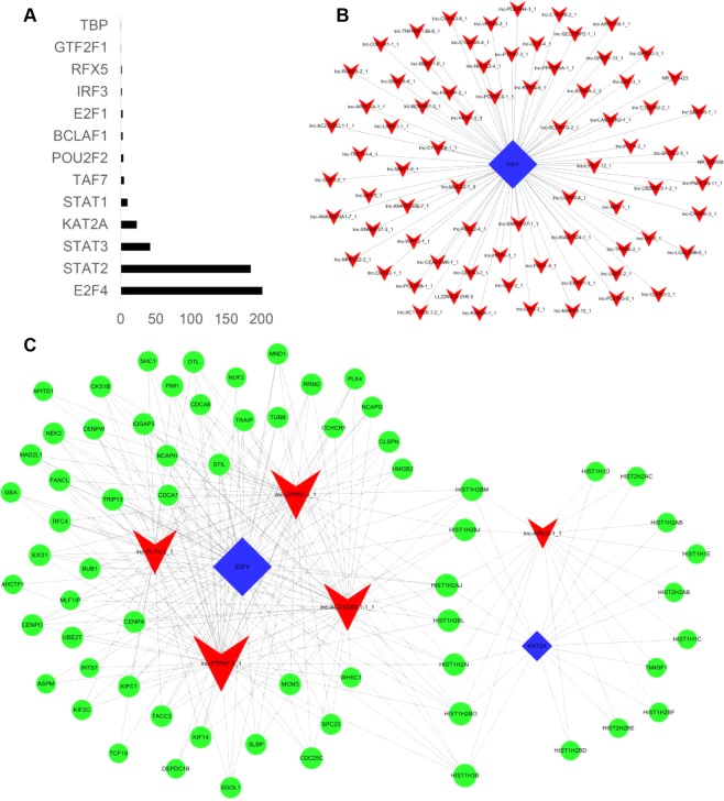 Figure 5