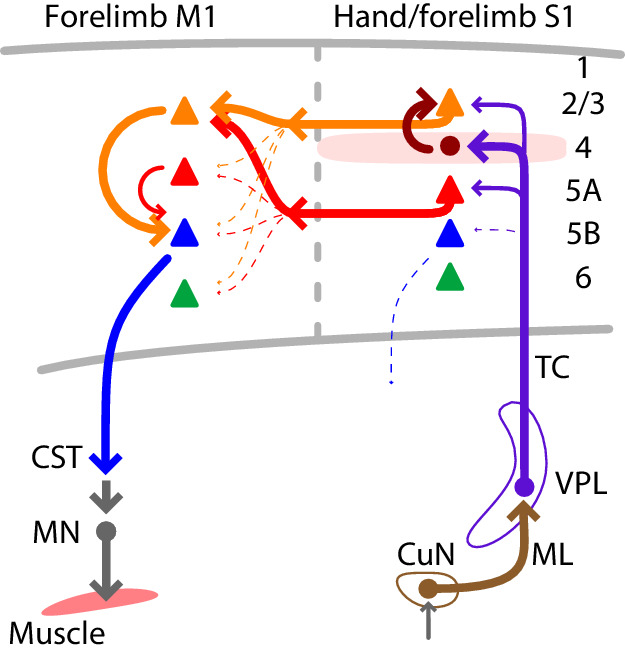 Figure 7.