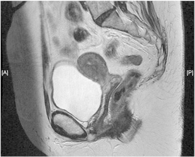 Supplementary Fig. 4