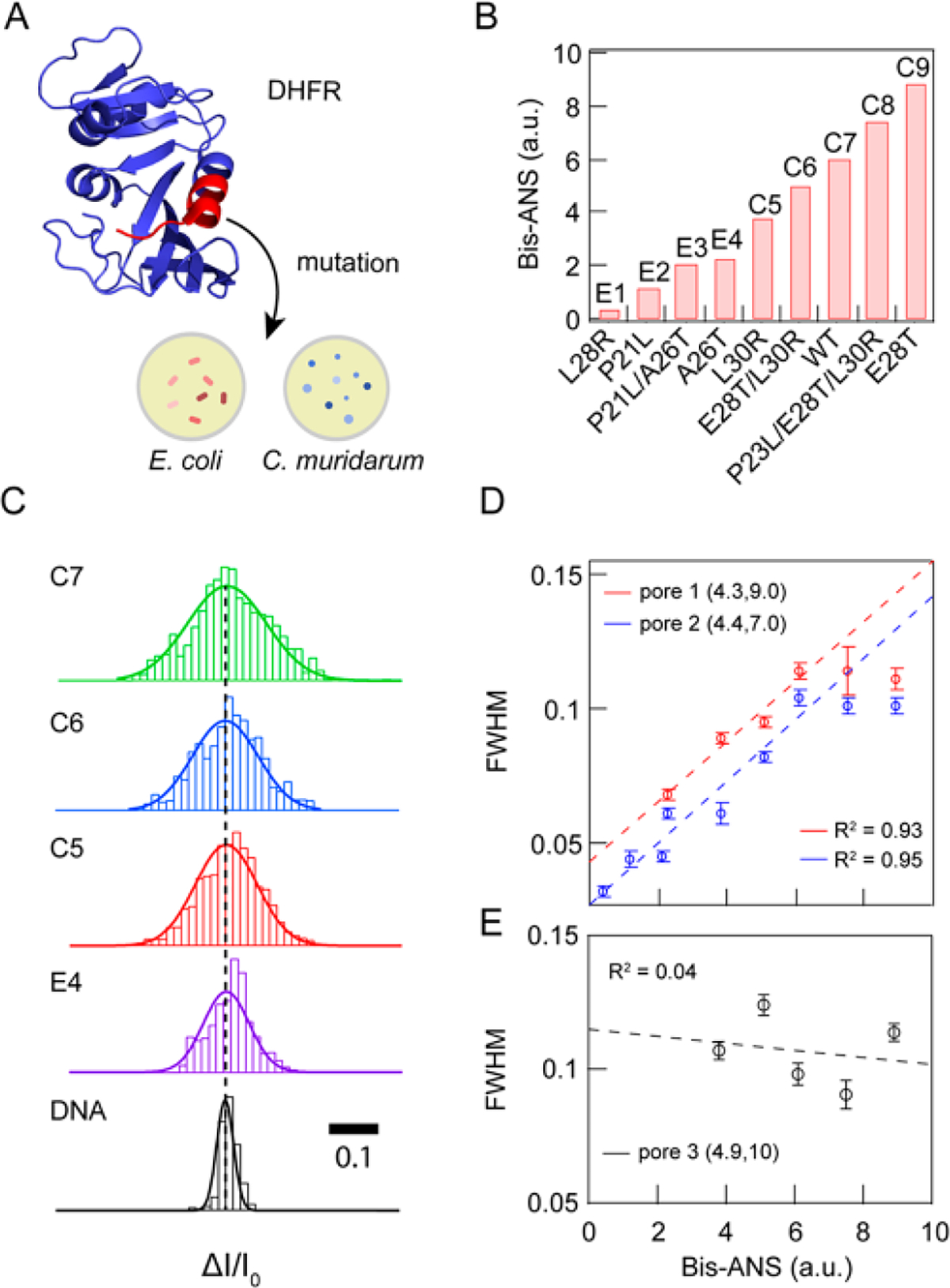 Figure 5.