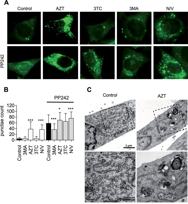 FIG 1