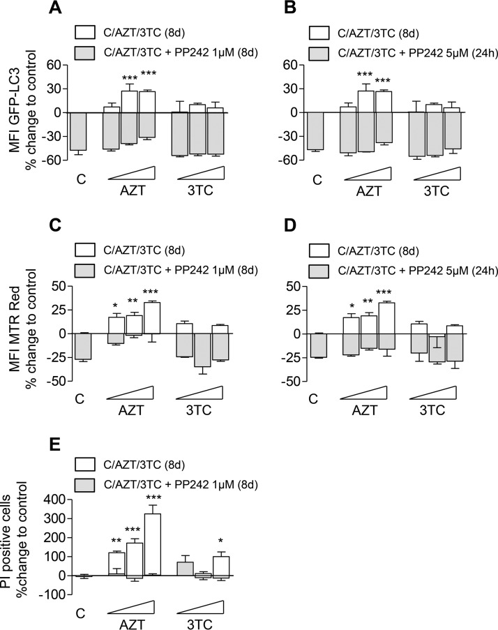 FIG 6