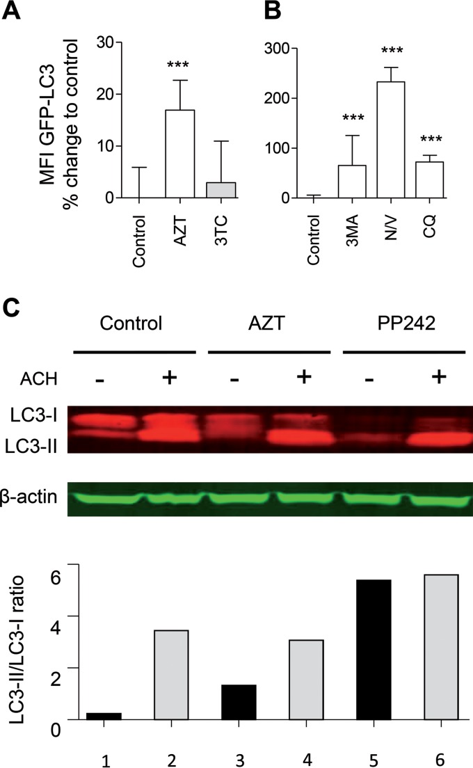 FIG 2