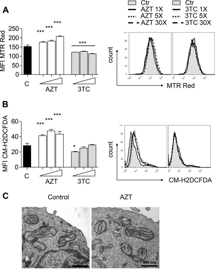 FIG 3