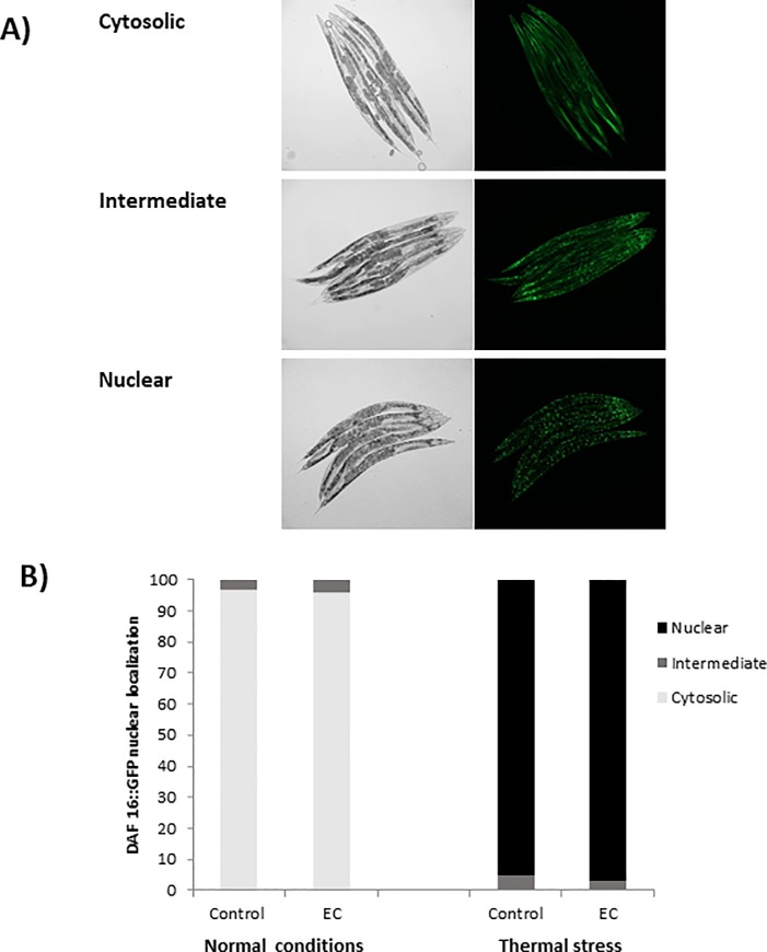 Fig 9