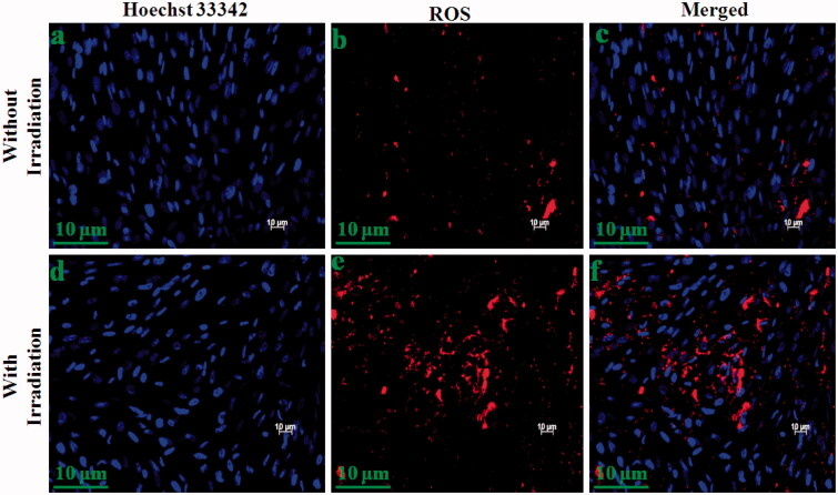 Figure 11.