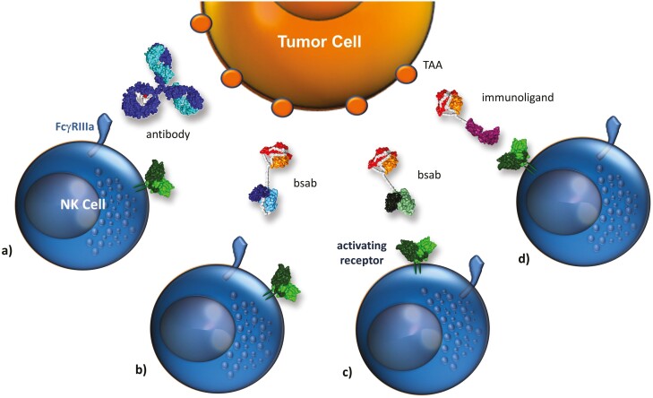 Figure 2: