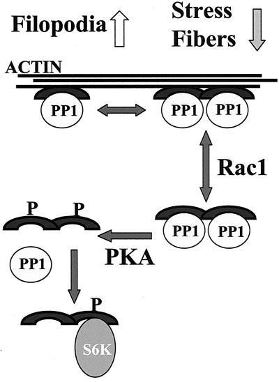 FIG. 7.