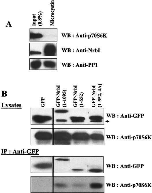 FIG. 5.