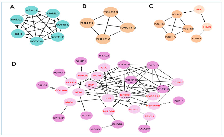 Figure 4