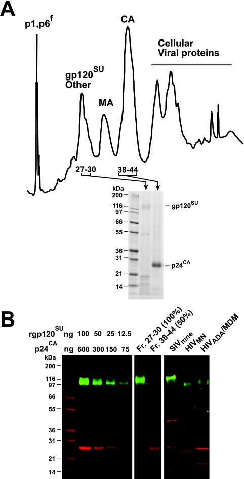 FIG. 5.