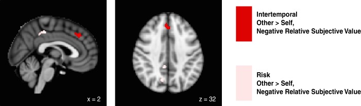 Figure 3—figure supplement 1.