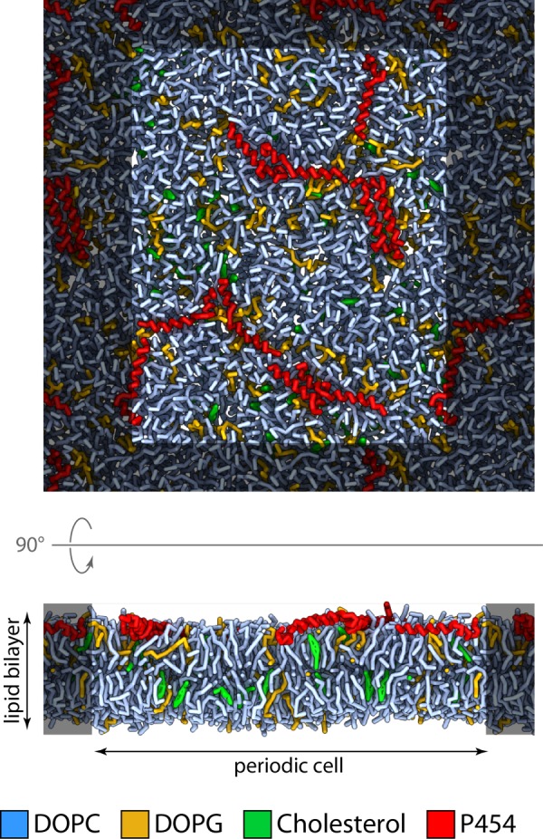 FIGURE 5.