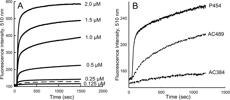 FIGURE 7.