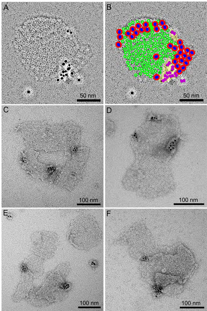 Fig. 4