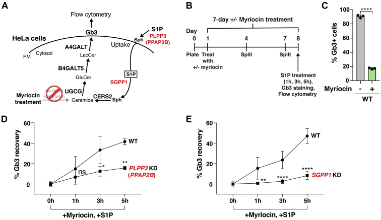 Fig. 3