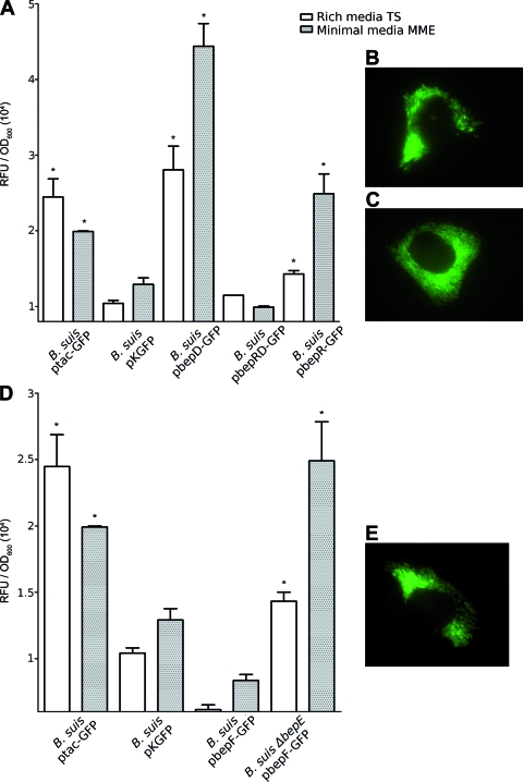 FIG. 4.