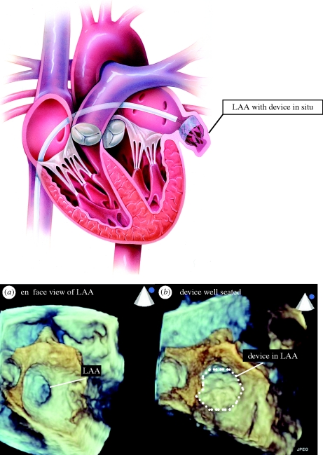 Figure 2.