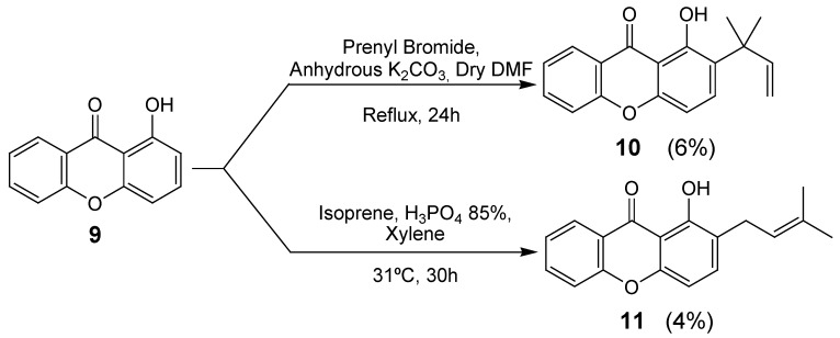 Scheme 2