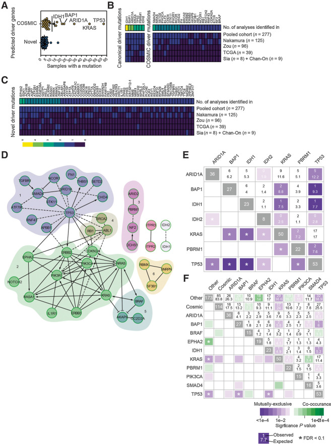 Figure 1. In silico screening identifies novel drivers of ICC. A, The number of samples with mutations in driver genes identified following analysis with IntOGen. Samples clustered into those that had been previously identified in ICC or are present in the COSMIC database (yellow points), or those mutated genes that have not previously been assigned as being cancer drivers (blue points). B, Frequency of samples containing known ICC or COSMIC mutation in each of the individual cohorts collated in this study and in the pooled datasets. C, Frequency of samples containing a predicted novel oncogenic mutation identified by IntOGen. In both B and C, heatmaps represent the frequency at which each mutation is found within each study and the aggregated frequency between all studies. Top bar represents the number of times a mutation was identified between studies. D, Pathway interaction analysis of putative ICC driver mutations identified by IntOGen based on known functional (solid lines) and predicted physical (dotted lines) interactions. Numbers 1 to 6 represent distinct gene relationship modules based on predicted or known genetic interactions. E, Co-occurrence and mutual exclusivity analysis demonstrates that there is a high level of mutational exclusivity between canonical driver mutations in patients with ICC. F, Co-occurrence and mutual exclusivity of COSMIC drivers that co-occur ≥15 times in the human sample set and combined “other,” which includes all novel drivers. N = 277 patient exomes or genomes with matched, noncancerous tissue.