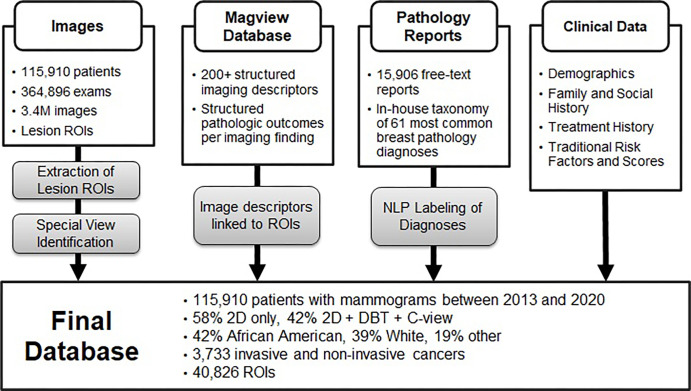 Overview of extraction and curation of the EMory BrEast imaging Dataset (EMBED) with four core components: images and regions of interest (ROIs), structured imaging descriptors and pathologic outcomes from MagView, free-text pathology reports, and additional clinical data. “Other” racial category includes Asian, not reported, and mixed. DBT = digital breast tomosynthesis, NLP = natural language processing, 2D = two-dimensional.