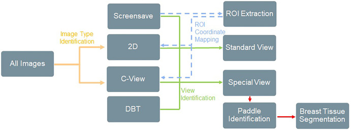 Overview of image filtration for classifying image types and extracting relevant regions of interest (ROIs) and tissue patches. This was achieved using a combination of computer vision techniques, Digital Imaging and Communications in Medicine (DICOM) metadata, and rules-based heuristics. ROI extraction was achieved by identifying ROIs within screen save images, extracting the ROI coordinates, identifying the matching source mammogram, and then mapping the ROI coordinates back to the original image. Examples of ROI extraction and special view tissue segmentation are provided in Figures 3 and 4. DBT = digital breast tomosynthesis, 2D = two-dimensional.