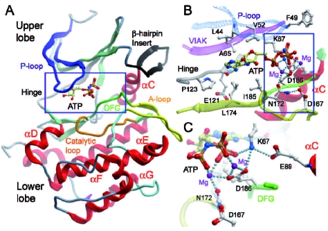 Figure 4.