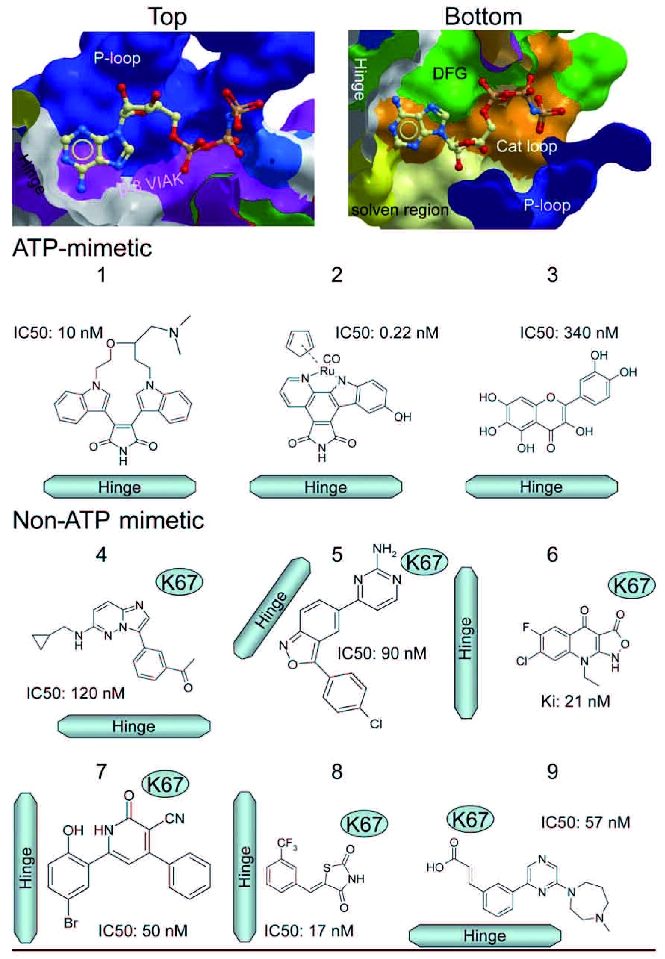 Figure 5.