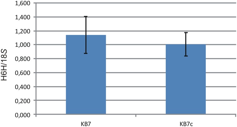 FIGURE 3