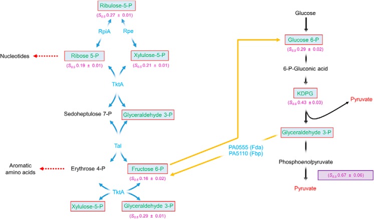 Figure 6.